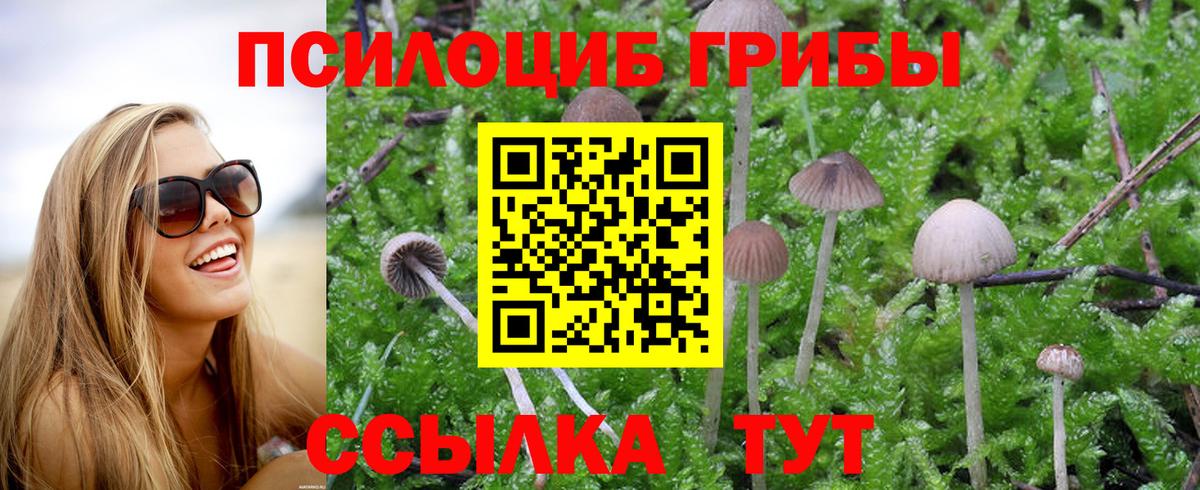 Фурманов  Галлюциногенные грибы мицелий  Вход с VPN 